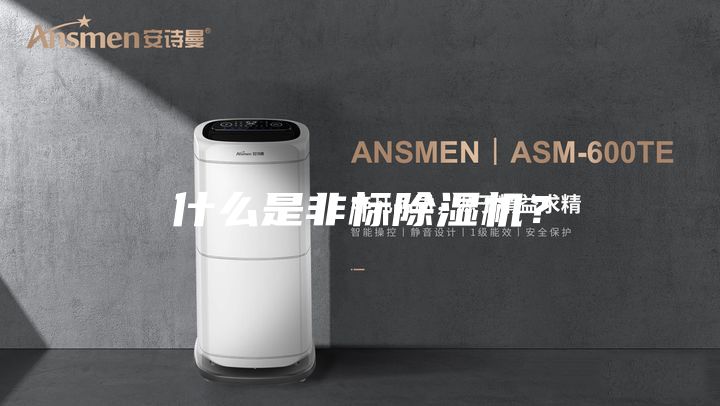 什么是非標(biāo)除濕機？