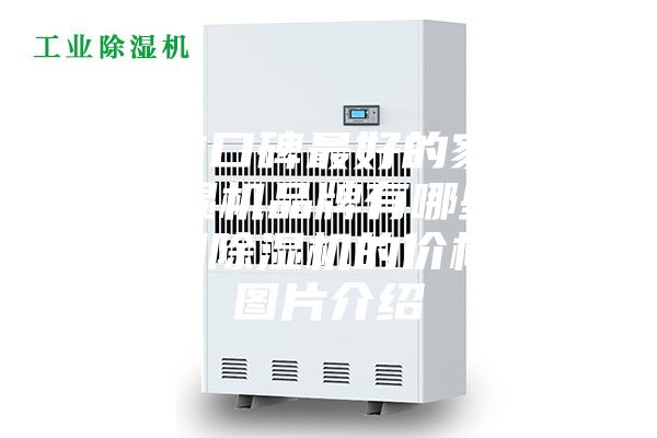 目前口碑最好的家用除濕機品牌有哪些？家用除濕機的價格和圖片介紹