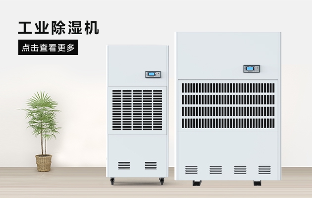 這間熱帶雨林辦公室，不潮濕不下雨還讓員工忘記了在工作