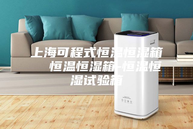 上?？沙淌胶銣睾銤裣? 恒溫恒濕箱-恒溫恒濕試驗箱