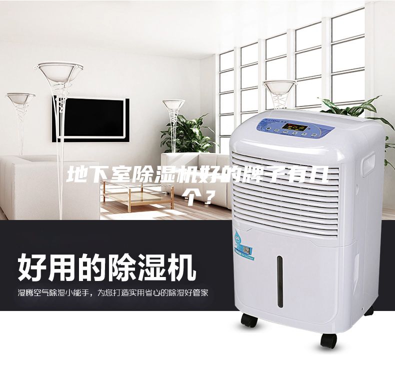 地下室除濕機(jī)好的牌子有幾個？