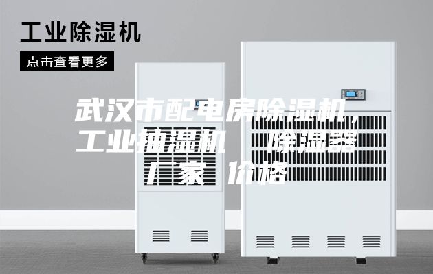 武漢市配電房除濕機，工業抽濕機  除濕器廠家 價格