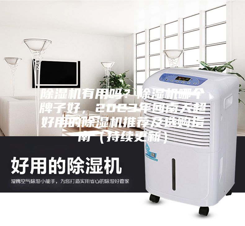除濕機(jī)有用嗎？除濕機(jī)哪個牌子好，2023年回南天超好用的除濕機(jī)推薦及選購指南（持續(xù)更新）