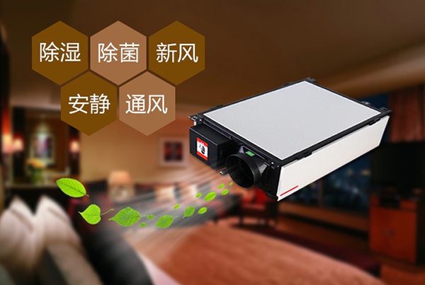 出梅？再等等，在家該如何防潮除濕？