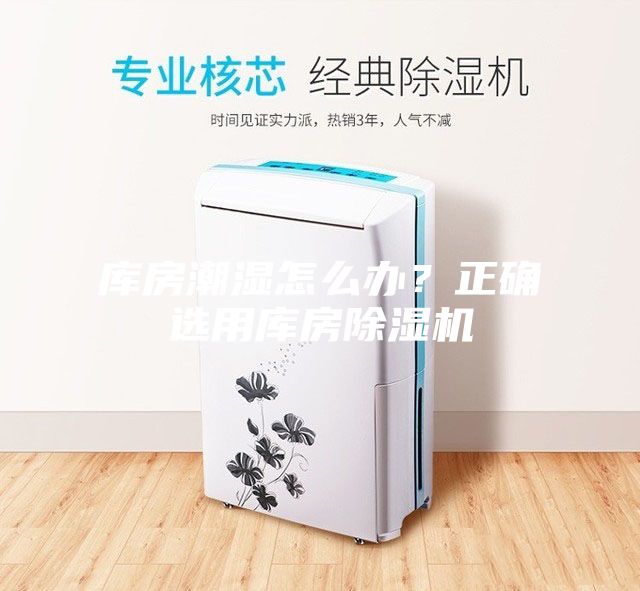 庫房潮濕怎么辦？正確選用庫房除濕機