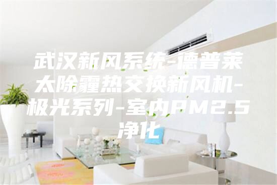 武漢新風(fēng)系統(tǒng)-德普萊太除霾熱交換新風(fēng)機(jī)-極光系列-室內(nèi)PM2.5凈化