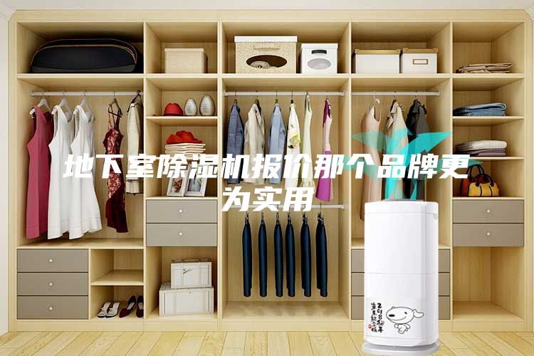 地下室除濕機(jī)報(bào)價(jià)那個(gè)品牌更為實(shí)用