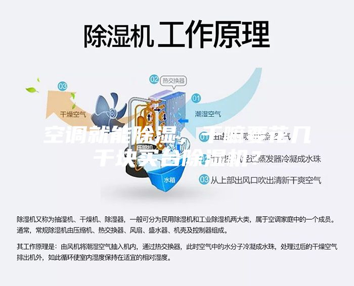 空調就能除濕，干嘛要花幾千塊買臺除濕機？