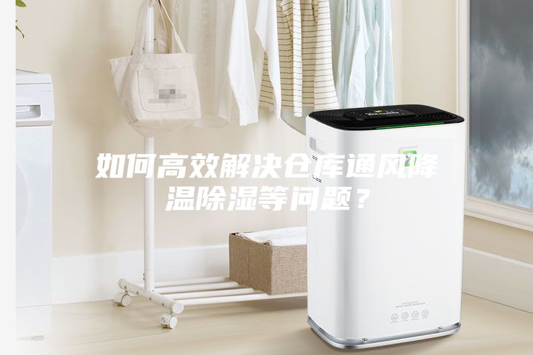 如何高效解決倉(cāng)庫(kù)通風(fēng)降溫除濕等問題？