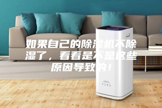 如果自己的除濕機不除濕了，看看是不是這些原因導致的！