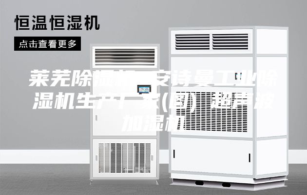 萊蕪除濕機(jī) 安詩(shī)曼工業(yè)除濕機(jī)生產(chǎn)廠家(圖) 超聲波加濕機(jī)