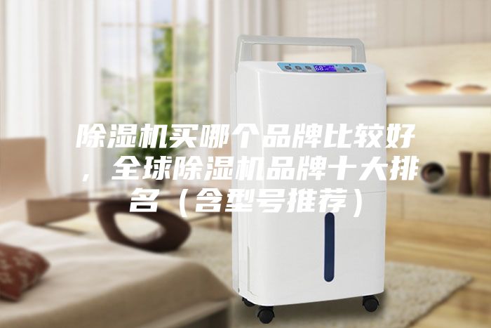 除濕機買哪個品牌比較好，全球除濕機品牌十大排名（含型號推薦）