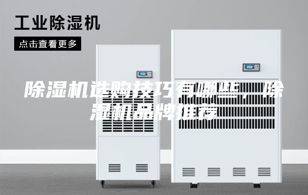 除濕機(jī)選購技巧有哪些，除濕機(jī)品牌推薦