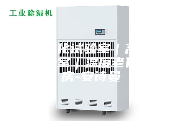 溫度老化試驗(yàn)室|高溫恒溫試驗(yàn)室|溫度老化實(shí)驗(yàn)房-安詩(shī)曼