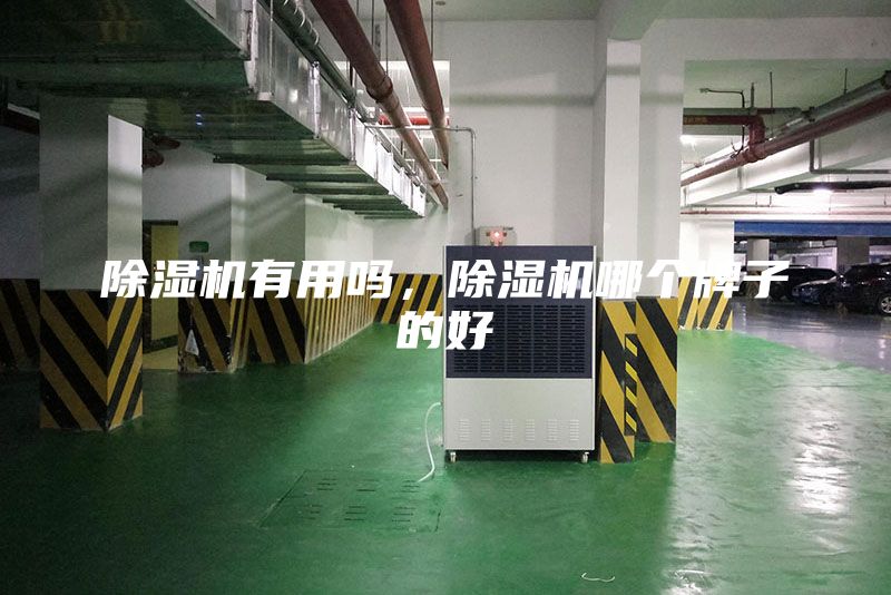 除濕機(jī)有用嗎，除濕機(jī)哪個(gè)牌子的好