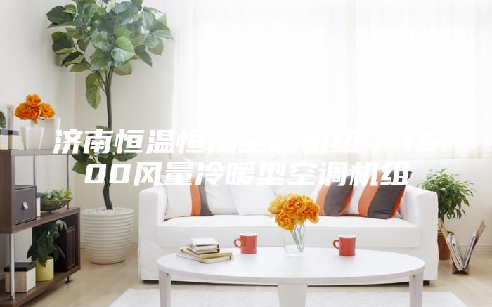 濟南恒溫恒濕空調機組  1500風量冷暖型空調機組