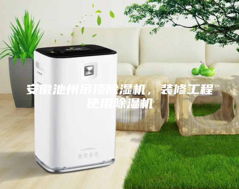 安徽池州吊頂除濕機(jī)，裝修工程使用除濕機(jī)