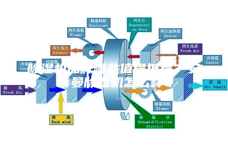除濕機品牌哪些值得推薦?安詩曼除濕機怎么樣?
