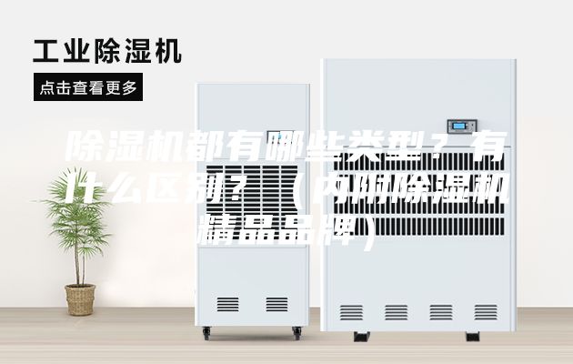 除濕機都有哪些類型？有什么區別？（內附除濕機精品品牌）