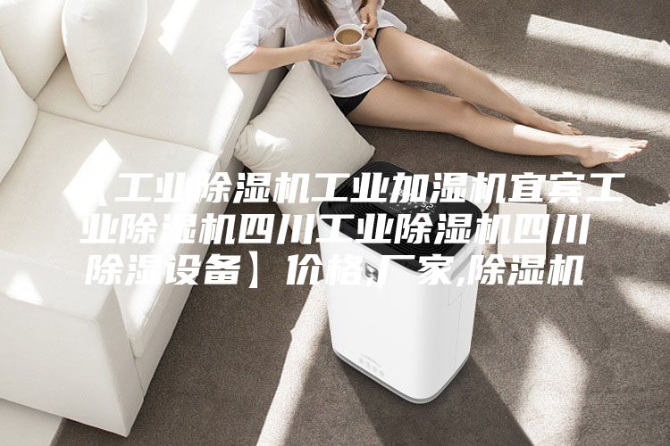 【工業(yè)除濕機工業(yè)加濕機宜賓工業(yè)除濕機四川工業(yè)除濕機四川除濕設備】價格,廠家,除濕機