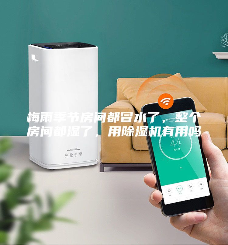 梅雨季節房間都冒水了,整個房間都濕了,用除濕機有用嗎