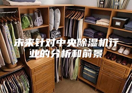 未來(lái)針對(duì)中央除濕機(jī)行業(yè)的分析和前景