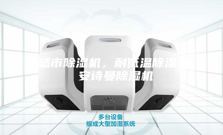 孝感市除濕機，耐低溫除濕機  安詩曼除濕機