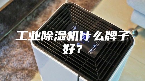 工業(yè)除濕機什么牌子好？