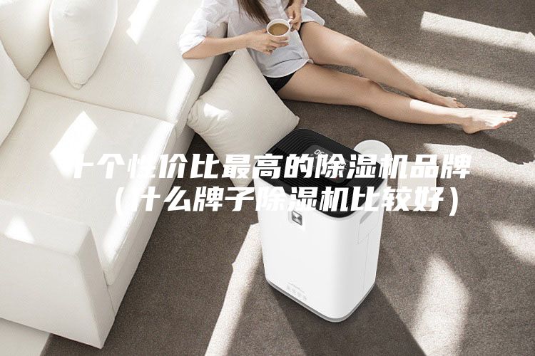 十個性價比最高的除濕機品牌(什么牌子除濕機比較好)