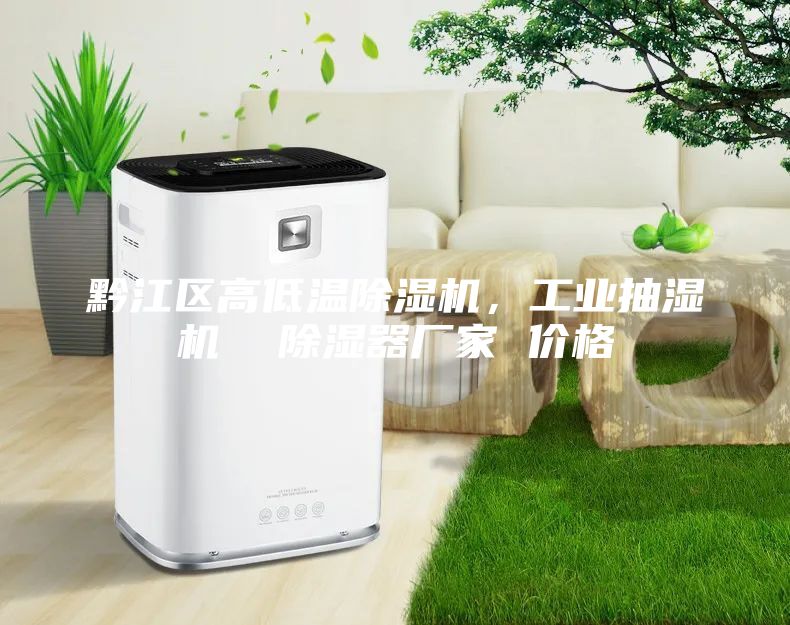 黔江區(qū)高低溫除濕機，工業(yè)抽濕機  除濕器廠家 價格