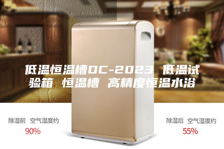 低溫恒溫槽DC-2023 低溫試驗(yàn)箱 恒溫槽 高精度恒溫水浴