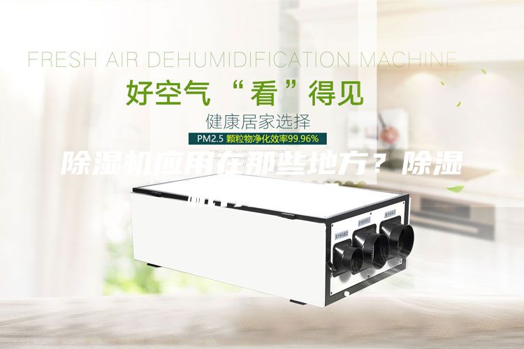 除濕機應用在那些地方？除濕機有效果嗎