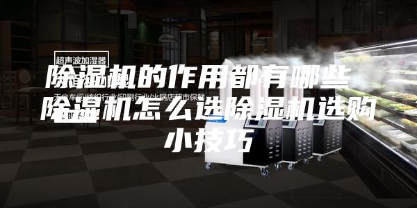 除濕機的作用都有哪些 除濕機怎么選除濕機選購小技巧