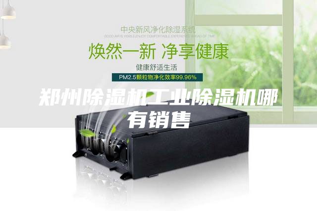 鄭州除濕機工業(yè)除濕機哪有銷售
