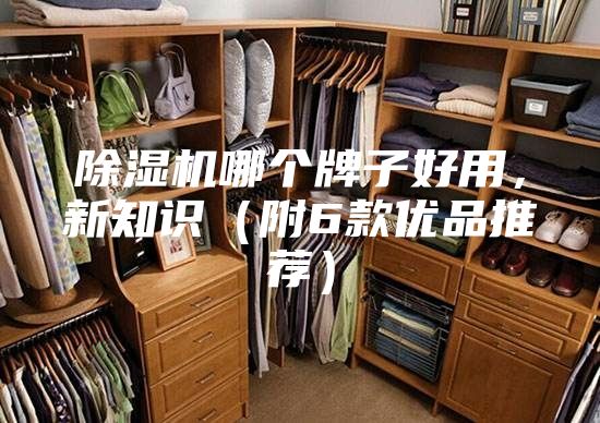 除濕機哪個牌子好用，新知識（附6款優(yōu)品推薦）