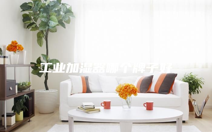 工業加濕器哪個牌子好