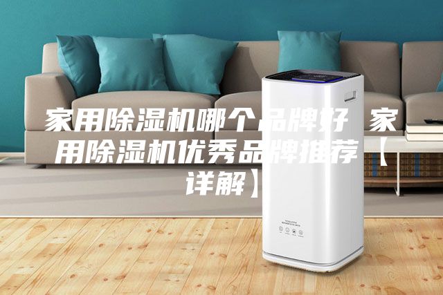 家用除濕機哪個品牌好 家用除濕機優(yōu)秀品牌推薦【詳解】