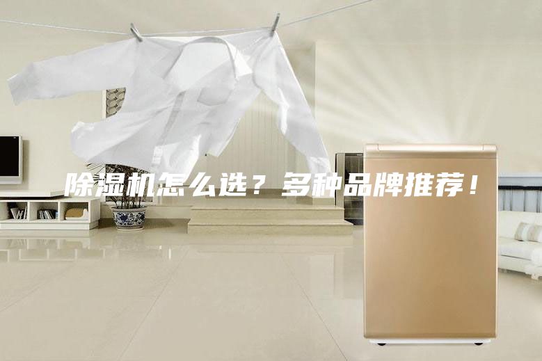 除濕機怎么選？多種品牌推薦！