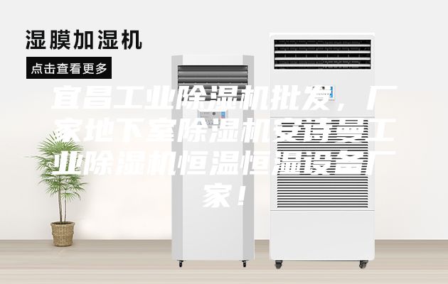 宜昌工業(yè)除濕機批發(fā)，廠家地下室除濕機安詩曼工業(yè)除濕機恒溫恒濕設備廠家！