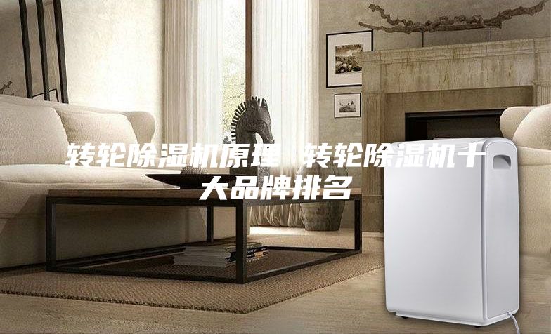 轉(zhuǎn)輪除濕機(jī)原理 轉(zhuǎn)輪除濕機(jī)十大品牌排名