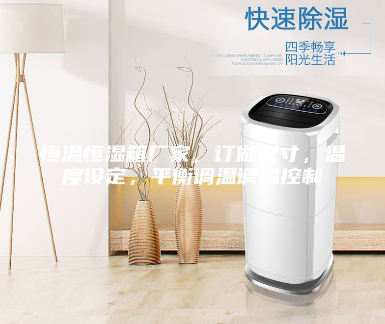 恒溫恒濕箱廠家，訂做尺寸，溫度設(shè)定，平衡調(diào)溫調(diào)濕控制