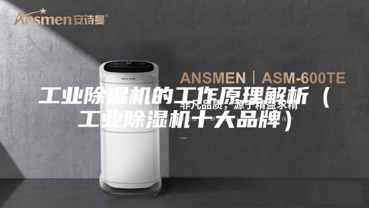 工業(yè)除濕機的工作原理解析（工業(yè)除濕機十大品牌）