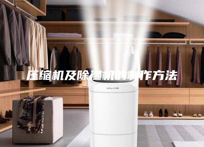 壓縮機(jī)及除濕機(jī)的制作方法