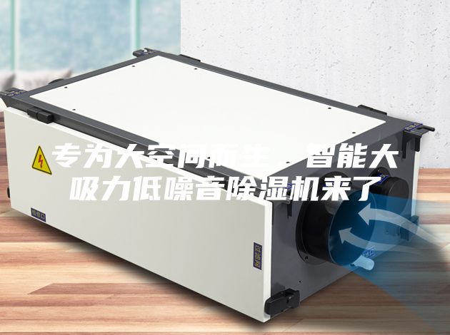 專為大空間而生，智能大吸力低噪音除濕機(jī)來了