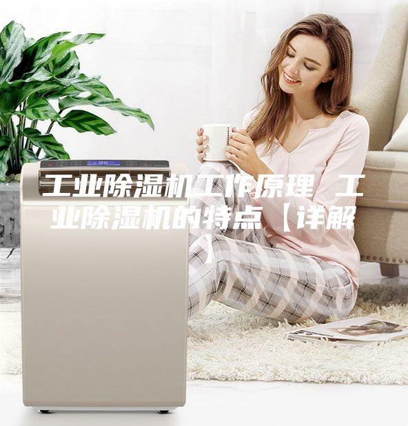 工業(yè)除濕機工作原理 工業(yè)除濕機的特點【詳解】