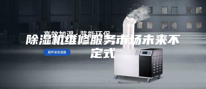 除濕機(jī)維修服務(wù)市場未來不定式