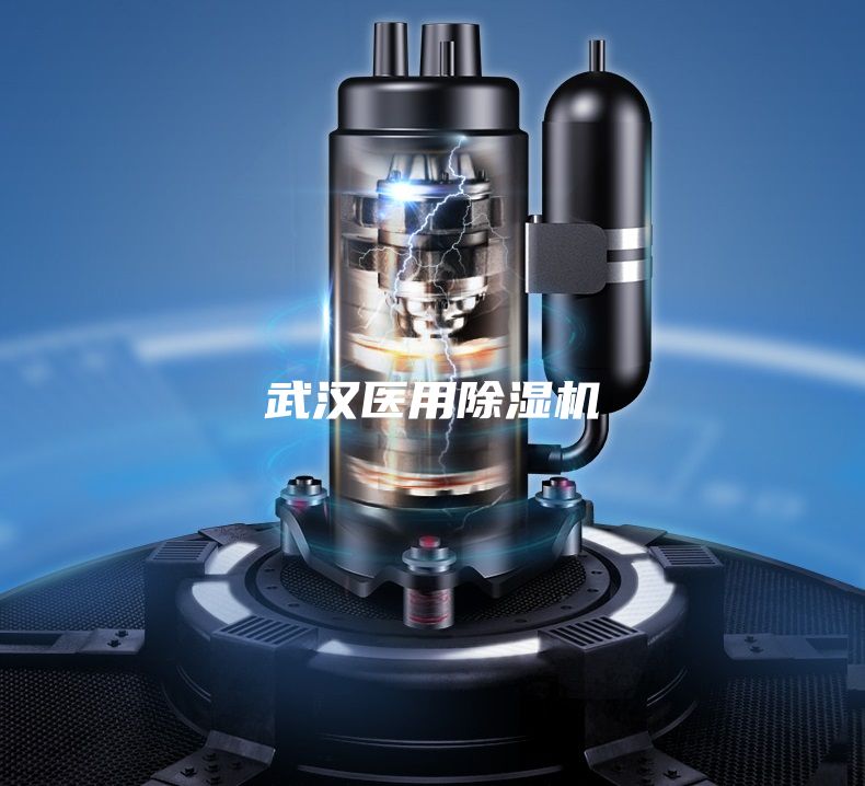 武漢醫(yī)用除濕機(jī)