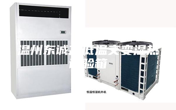 溫州東誠高低溫交變濕熱試驗箱