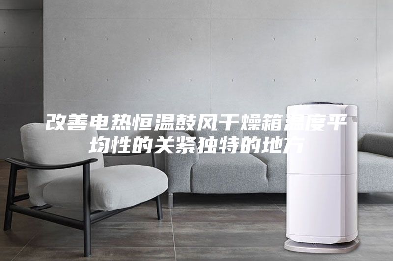 改善電熱恒溫鼓風干燥箱溫度平均性的關(guān)緊獨特的地方