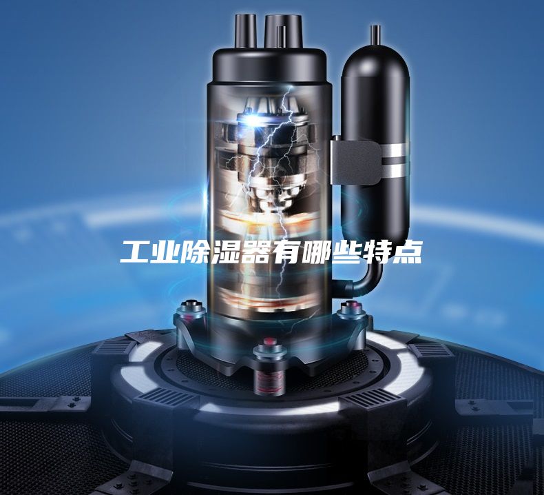 工業(yè)除濕器有哪些特點(diǎn)